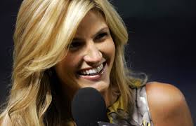 Erin Andrews hair