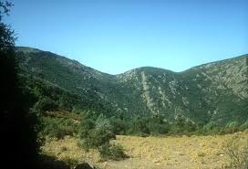 http://t2.gstatic.com/images?q=tbn:I7XqMK9HfwcYxM%3Ahttp://corse-sauvage.com/Randonnee%2520Corse/Images/Corse92010017GF.jpg