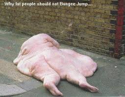 funny pictures of fat people