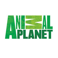 Animal Planet
