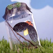 cute bug pictures