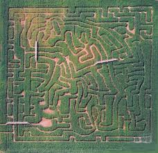 Jungle Maze