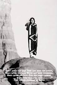 cree native americans