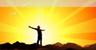 the Vitamin D Society