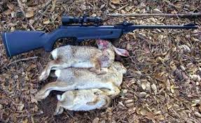 gamo hunting