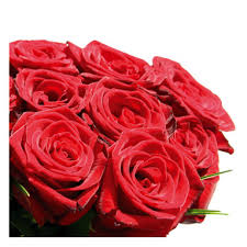 rose bouquet pictures