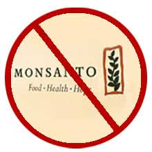 no Monsanto