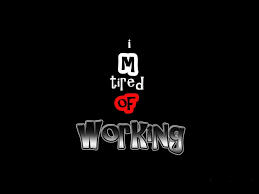 funny wallpapers