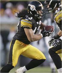 troy polamalu