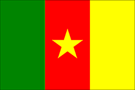 ╣◄جـنوبـ إفريقيـا 2010►╠:::: الكأس / الكرة / المنتخبات/ المجموعات O° & Cameroon_flag