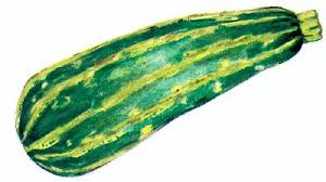 Courgette