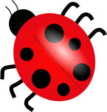 ladybugs clip art pictures