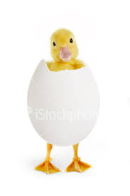 easter greetings