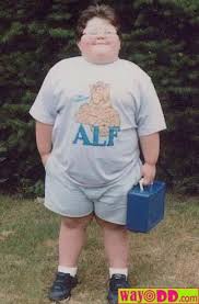 funny pics of fat people