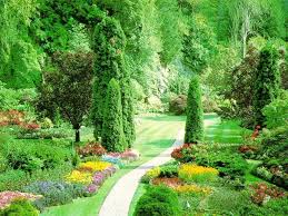 http://t2.gstatic.com/images?q=tbn:LhqaFTI7BKCDlM:http://i170.photobucket.com/albums/u252/MURPHY1433/nature.jpg