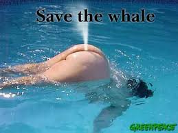 funny pics of people