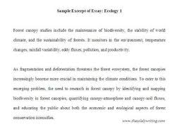 example essay