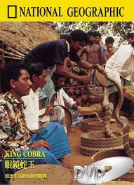 king cobra national geographic