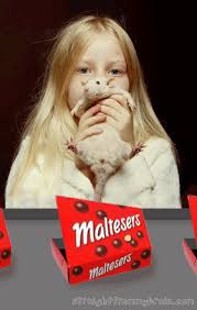 maltesers