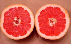 grapefruit