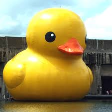 ducky
