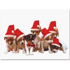 christmas greeting cards