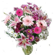 pinks
