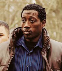 Wesley Snipes facing 3 years