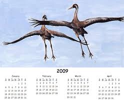 Year calendar
