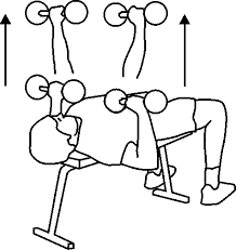 dumbbell press