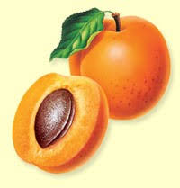 http://t2.gstatic.com/images?q=tbn:Np3q8nfMatDAcM:http://blog.masdelarbre.com/public/Produits%20Frais/magnifique_abricot.jpg