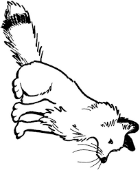 fox coloring sheets