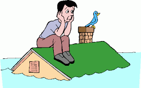 Flood Insurance Insurance on Google Images