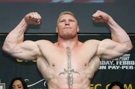 Brock-Lesnar-pic12.jpg