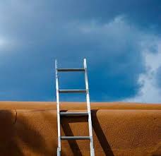 تصوير اصلي را ببينيد