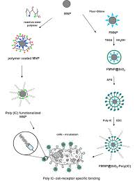 magnetic nanoparticle, magnetic nanostructure, magnetic nanopowder, magnetic nanocrystal, super paramagnetic, bulk, nanomaterial, Ni, nickel, Co, cobalt, Fe, iron, magnetic alloy, magnetic oxide, magnetic nitride, 
