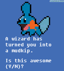 Favorite Hoenn Starter Pokemon-mudkip-awesome