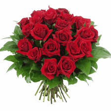 http://t2.gstatic.com/images?q=tbn:PJ46tiBizRPqWM:http://img220.imageshack.us/img220/1913/gviennerouge1tk4.gif
