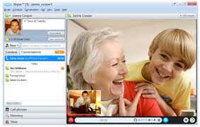Download Portable Skype.
