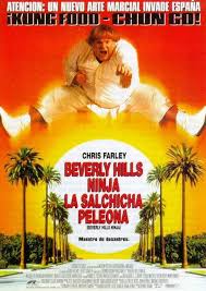 Beverly Hills Ninja TR D�blaj
