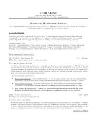 example of resume