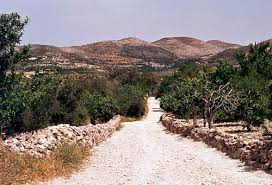 Israel - בית ישראל * Haus ISRAEL Samaria_path_mountains_1981-t