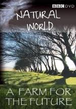 Natural world: A farm for the future