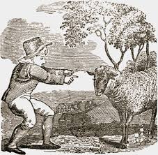 Illustration of Baa Baa Black