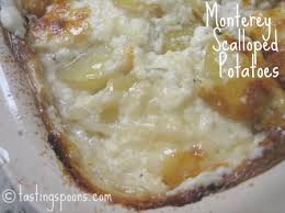 scalloped potatoes