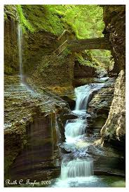 Watkins Glen NY