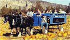 Bend Oregon Family Activities Pumpkin Patch