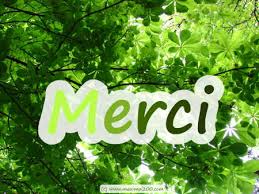 سفنج Merci-vert