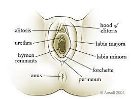 Sexually Transmitted Diseases