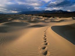 footprints in the sand images
